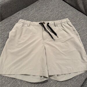 Chubbies everyday performance Men's Gray Casual Shorts 6in